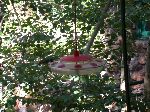 2007-0614-1526-05.jpg